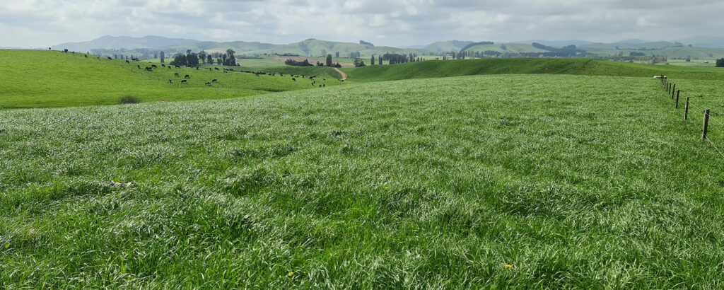 Ergozyne NZ Supply Solutions farms corporates dairy sheep and beef farms councils waste water banner 7